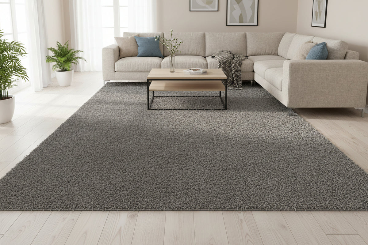 A rectangular gray area rug with a subtle textured, mottled surface pattern, shown from a top-down perspective on a white background.