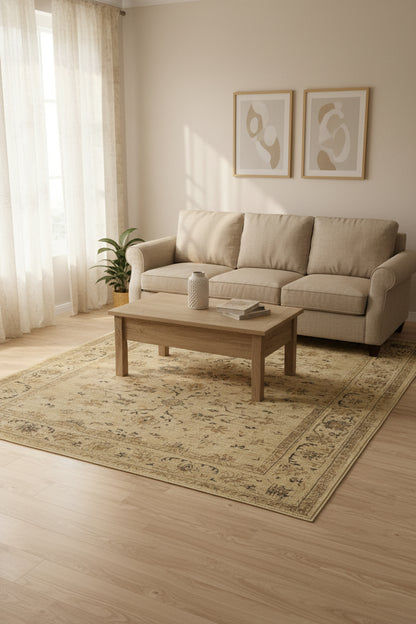 A rectangular vintage-style area rug with an ornate floral and medallion pattern in beige, cream, and muted brown tones, shown flat against a white background.
